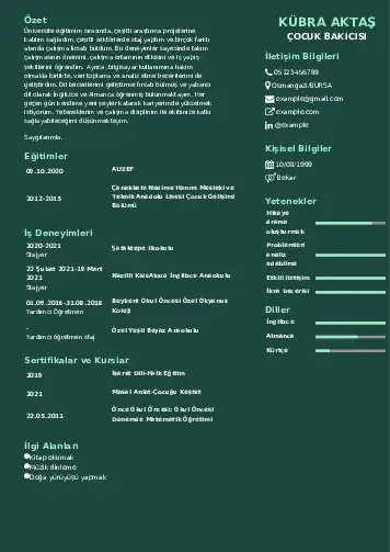 Çocuk Bakıcısı CV Örnekleri cv indir